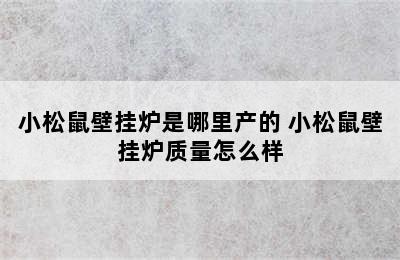 小松鼠壁挂炉是哪里产的 小松鼠壁挂炉质量怎么样